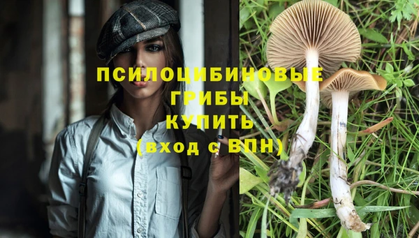 каннабис Пересвет