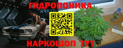 спайс Гай