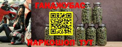 дмт Гатчина