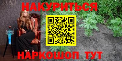 спайс Гай