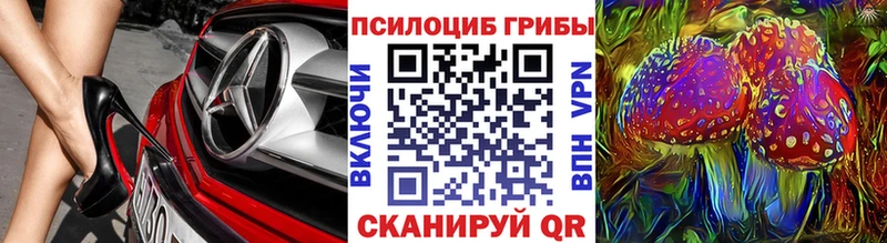 как найти закладки  Курганинск  Галлюциногенные грибы мицелий 