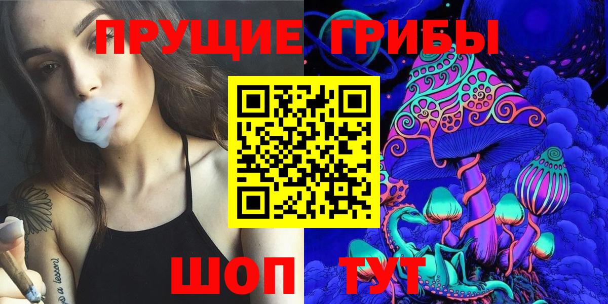Галлюциногенные грибы Cubensis Курганинск